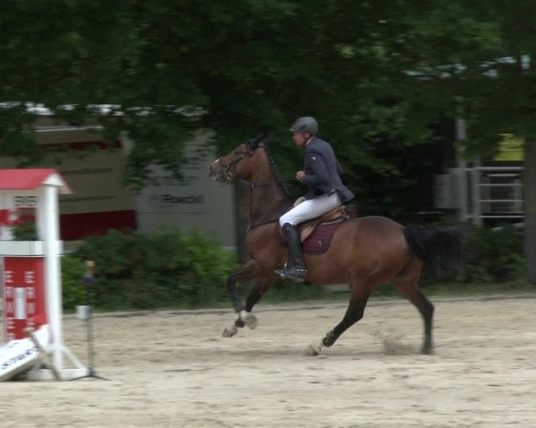 Reitturnier Bochum-Nord 2019