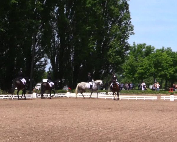 Reitturnier Hamm-Rhynern 2019