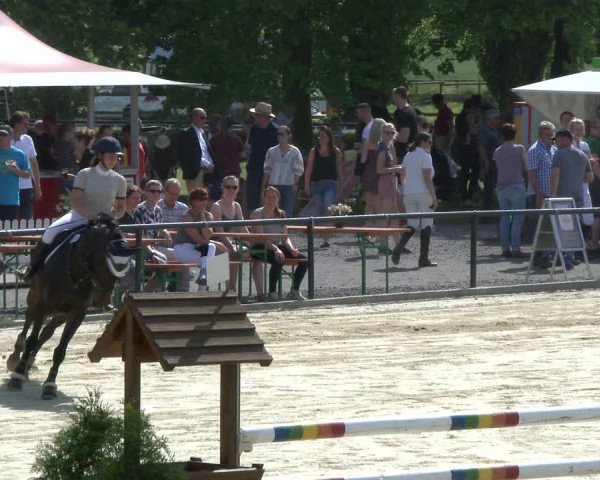 Reitturnier Hamm-Rhynern 2019
