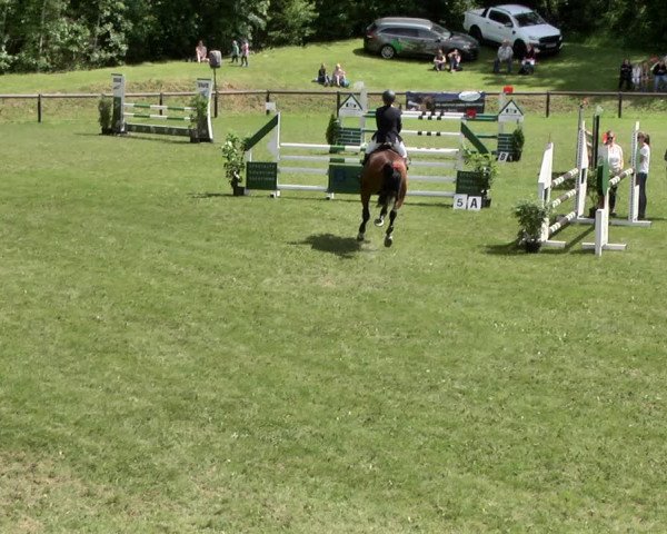 Reitturnier Jettingen 2019