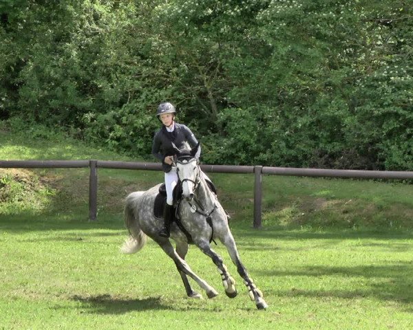 Reitturnier Jettingen 2019