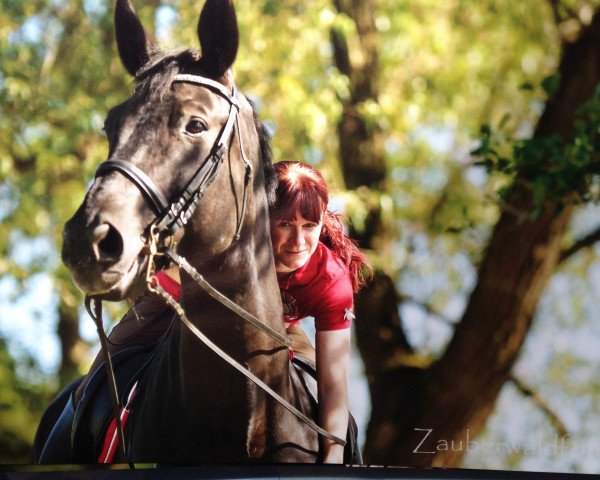 Dressurpferd Leeland (Trakehner, 1997, von Windfall)