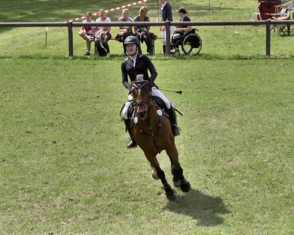 Reitturnier Jettingen 2019