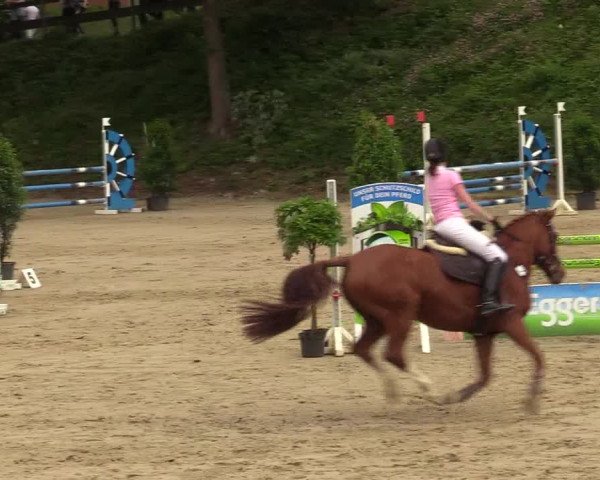 Reitturnier Iserlohn-Kalthof 2019