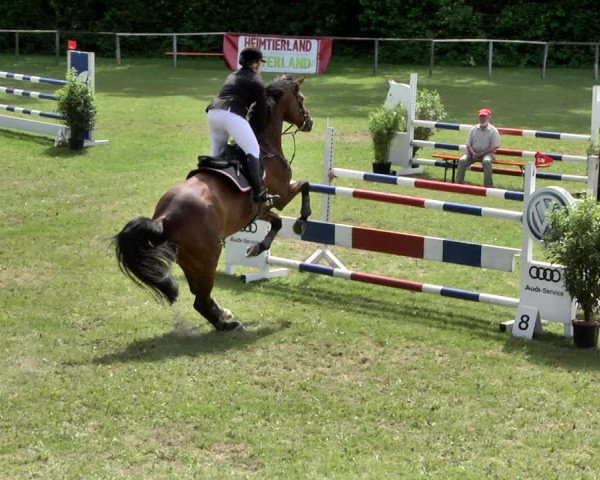 Reitturnier Jettingen 2019