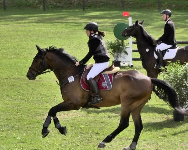 Reitturnier Jettingen 2019