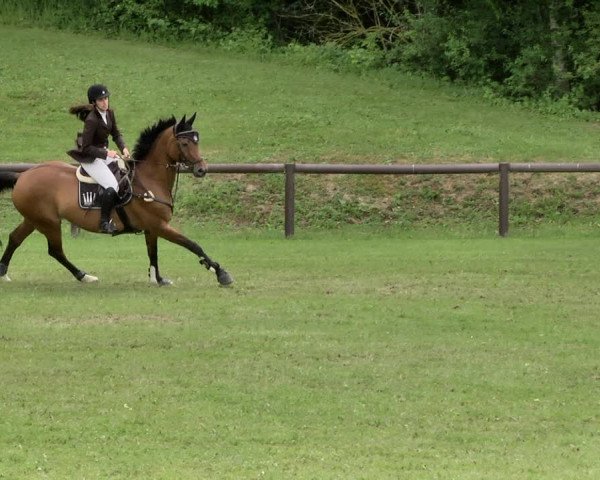 Reitturnier Jettingen 2019
