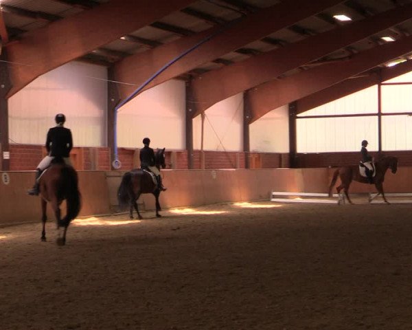 Reitturnier Iserlohn-Kalthof 2019