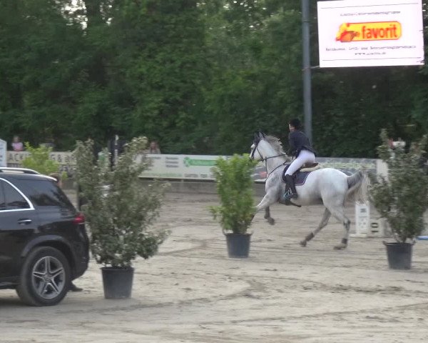 Reitturnier Zeiskam 2019