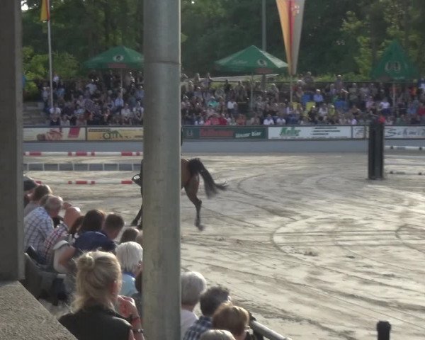 Reitturnier Zeiskam 2019