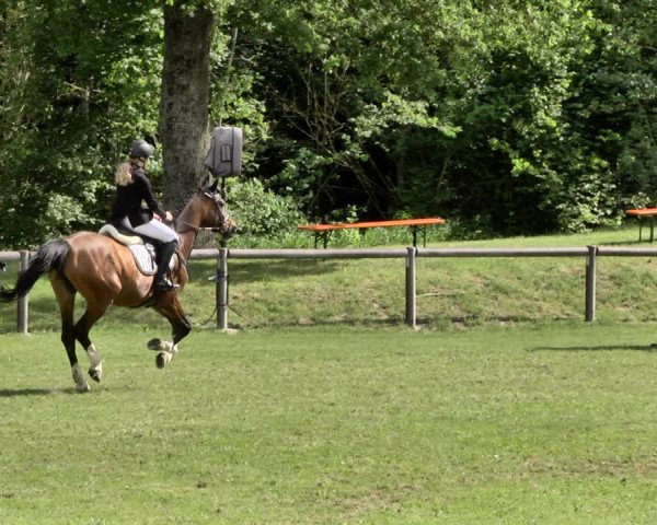 Reitturnier Jettingen 2019