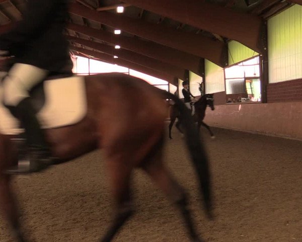 Reitturnier Iserlohn-Kalthof 2019