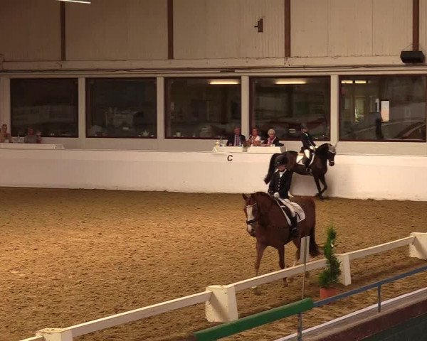Reitturnier Borken 2019