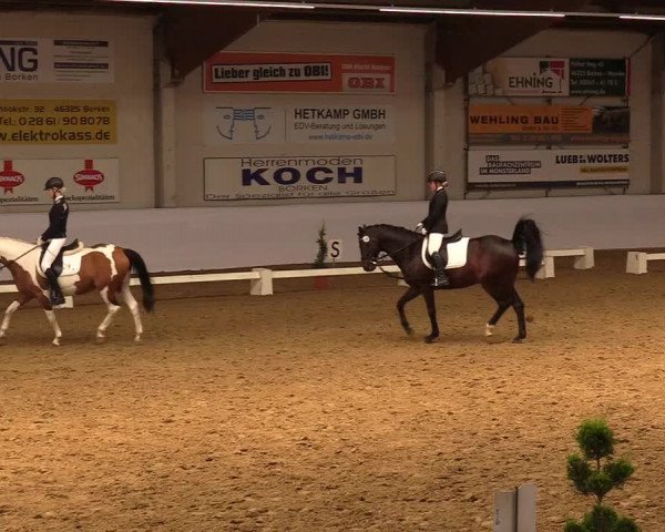 Reitturnier Borken 2019