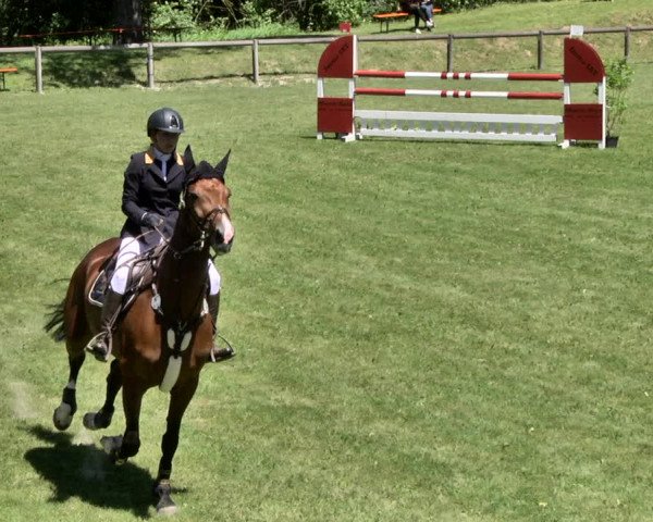 Reitturnier Jettingen 2019