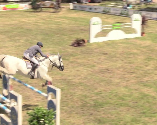 Reitturnier Cottbus-Sielow 2019