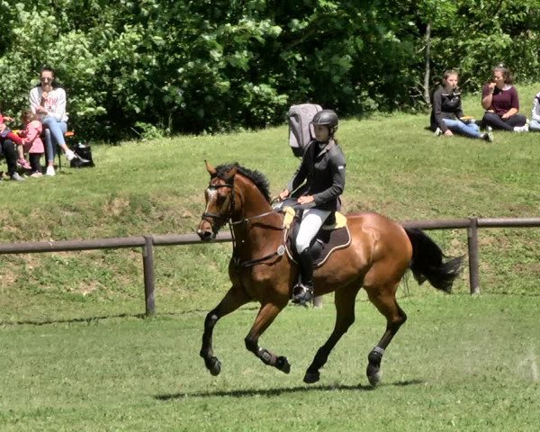Reitturnier Jettingen 2019