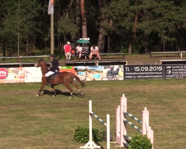 Reitturnier Cottbus-Sielow 2019