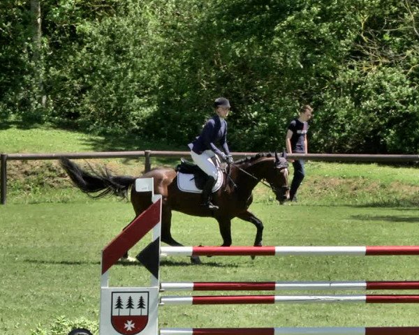 Reitturnier Jettingen 2019