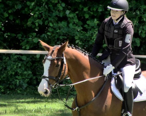 Reitturnier Jettingen 2019
