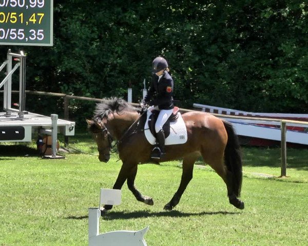 Reitturnier Jettingen 2019
