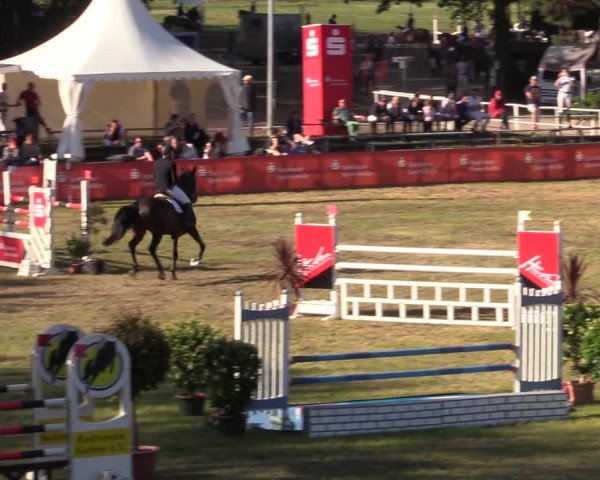 Reitturnier Cottbus-Sielow 2019