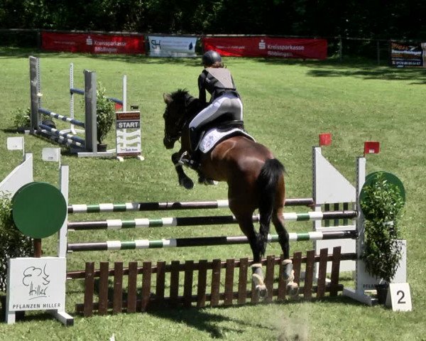 Reitturnier Jettingen 2019