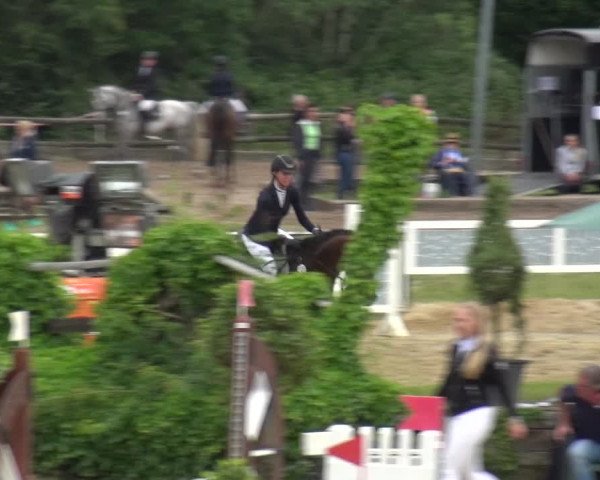 Reitturnier Frechen-Grefrath - Sonnenhof 2019