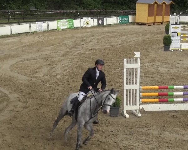 Reitturnier Frechen-Grefrath - Sonnenhof 2019
