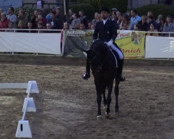 Reitturnier Frechen-Grefrath - Sonnenhof 2019