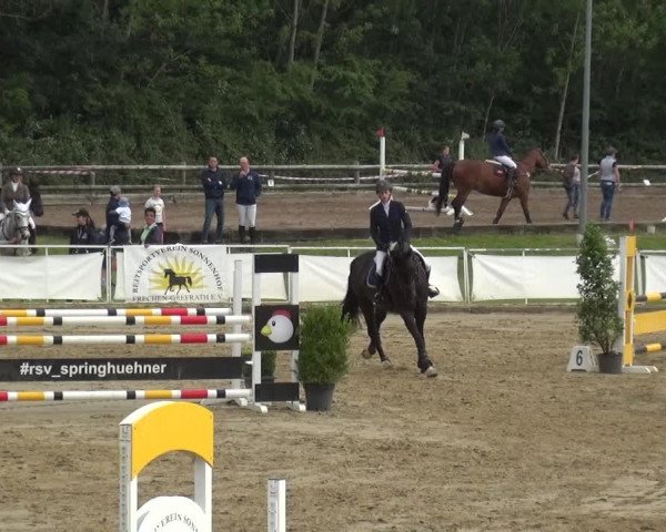 Reitturnier Frechen-Grefrath - Sonnenhof 2019