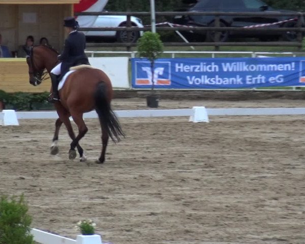 Reitturnier Frechen-Grefrath - Sonnenhof 2019
