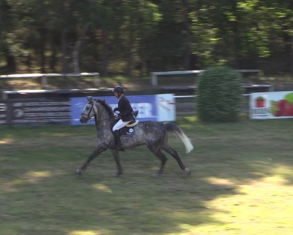 Reitturnier Cottbus-Sielow 2019