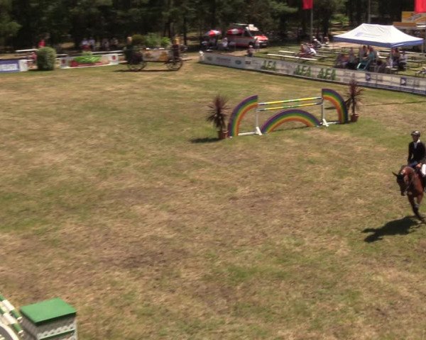 Reitturnier Cottbus-Sielow 2019