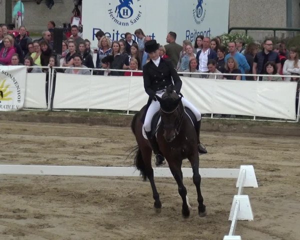 Reitturnier Frechen-Grefrath - Sonnenhof 2019
