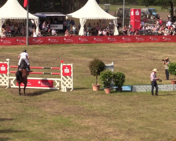 Reitturnier Cottbus-Sielow 2019
