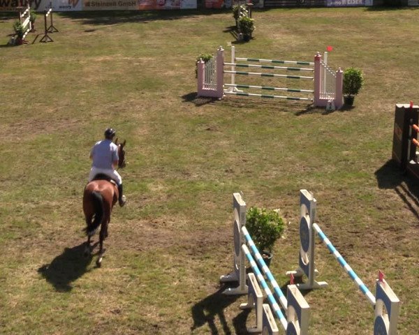Reitturnier Cottbus-Sielow 2019