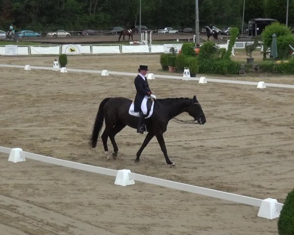 Reitturnier Frechen-Grefrath - Sonnenhof 2019