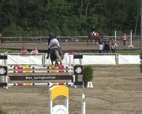 Reitturnier Frechen-Grefrath - Sonnenhof 2019