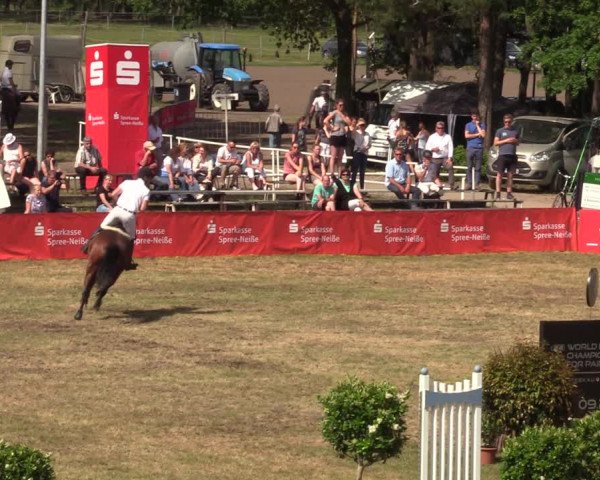 Reitturnier Cottbus-Sielow 2019