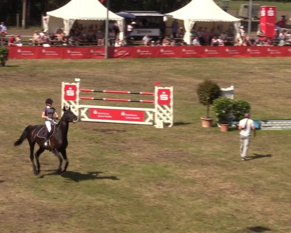 Reitturnier Cottbus-Sielow 2019