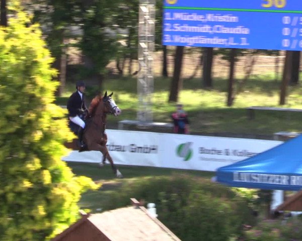 Reitturnier Cottbus-Sielow 2019