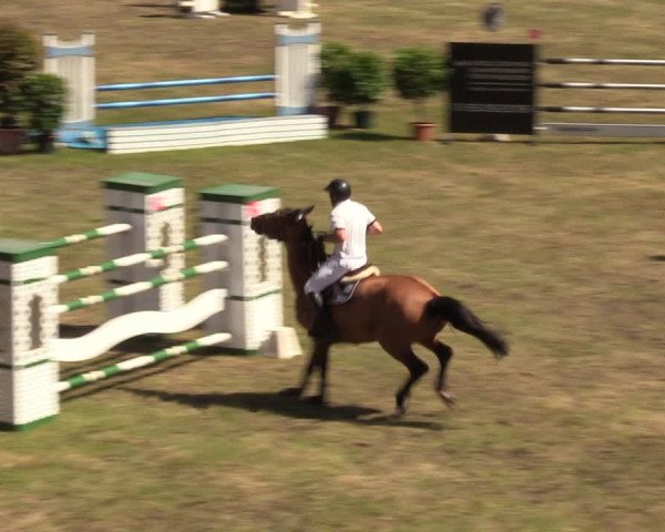 Reitturnier Cottbus-Sielow 2019
