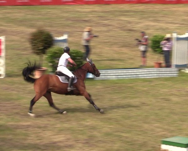Reitturnier Cottbus-Sielow 2019