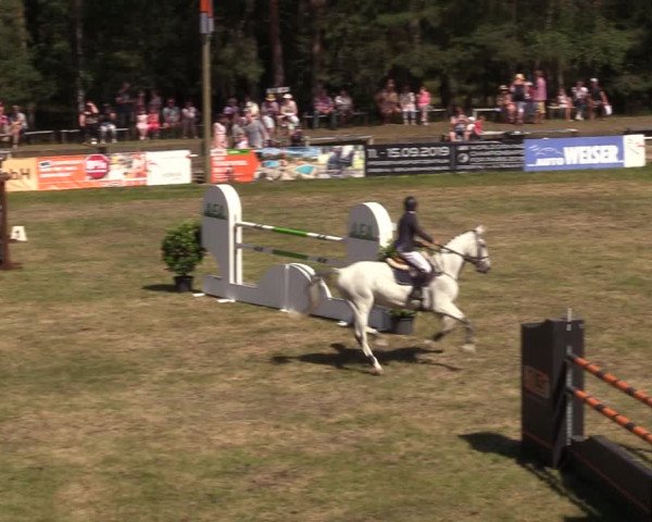 Reitturnier Cottbus-Sielow 2019