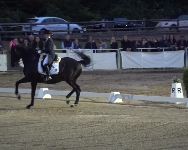 Reitturnier Frechen-Grefrath - Sonnenhof 2019