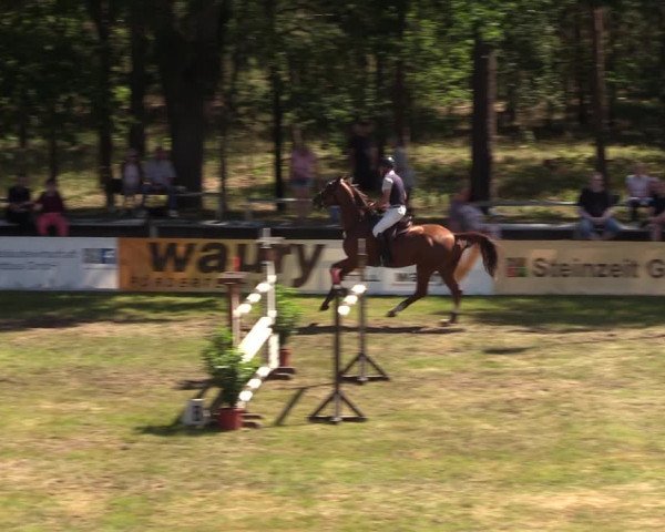 Reitturnier Cottbus-Sielow 2019