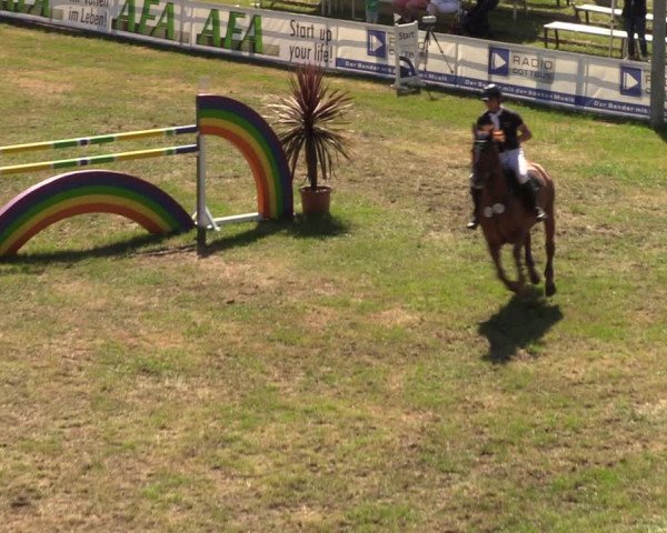Reitturnier Cottbus-Sielow 2019