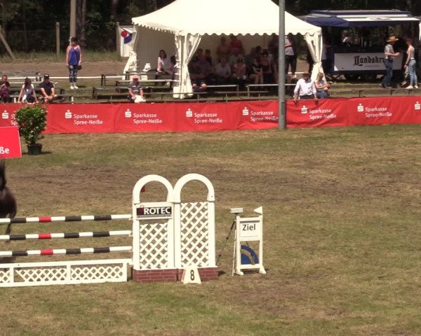 Reitturnier Cottbus-Sielow 2019