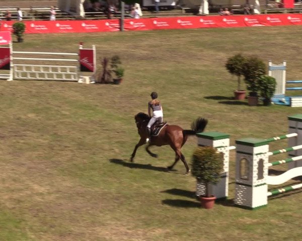 Reitturnier Cottbus-Sielow 2019